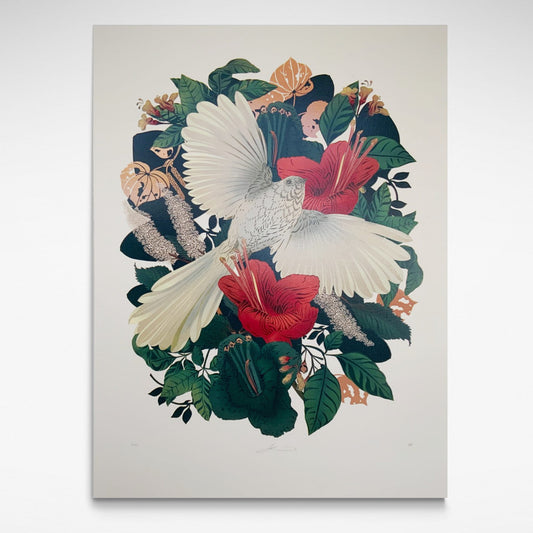 A rare white Fantail surrounded by rich red flowers and green foliage
