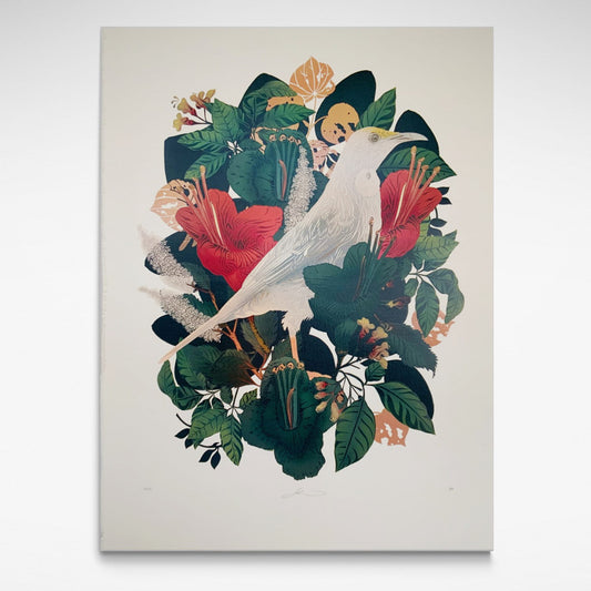 A rare white Tui surrounded by rich red flowers and green foliage