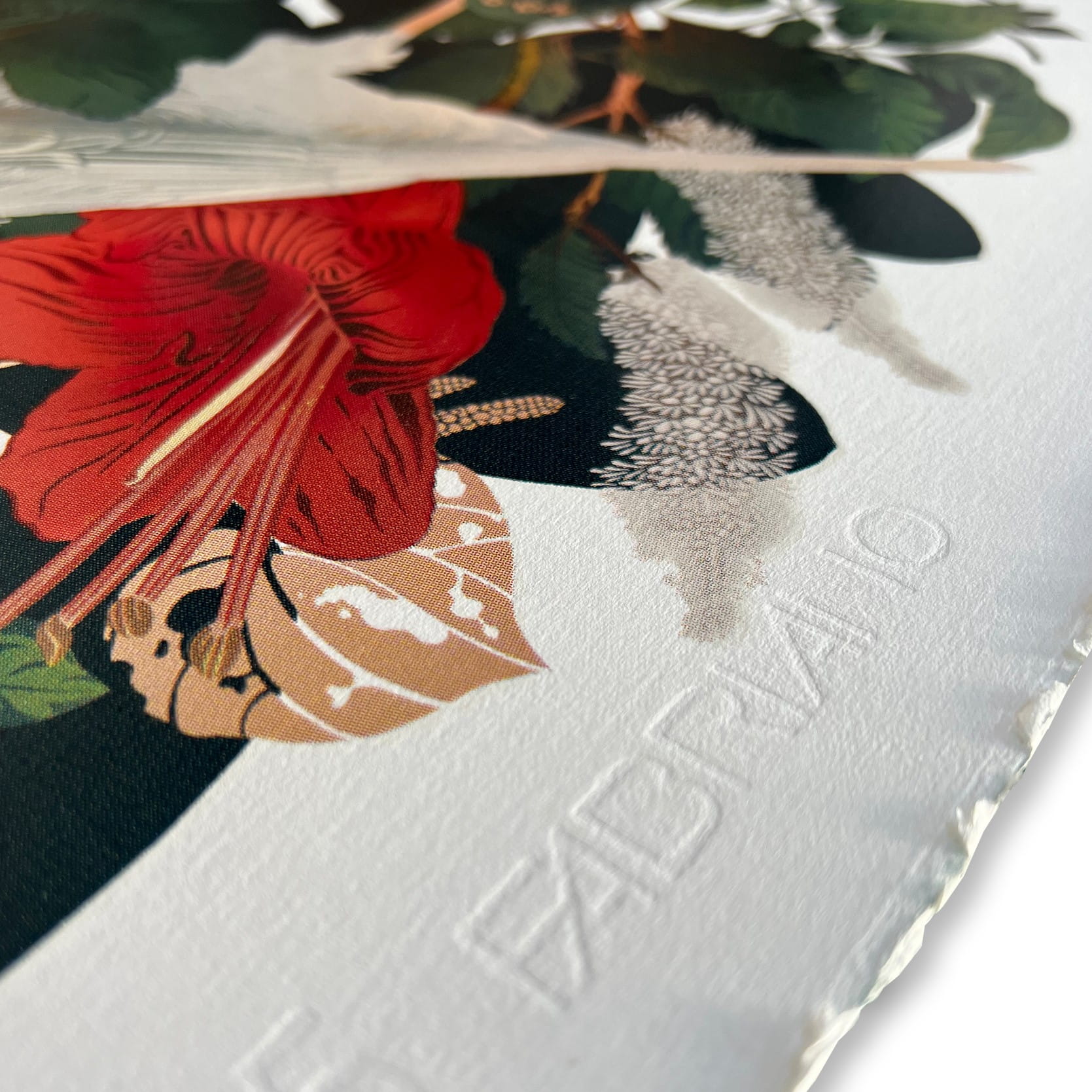 Close up of a Flox silkscreen showing  red hibiscus flower and edge of paper