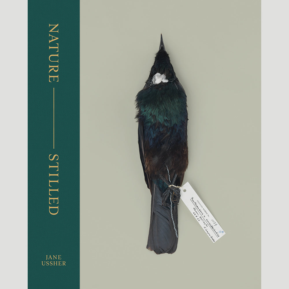 Cover of a book depicting a stuffed Tui specimen