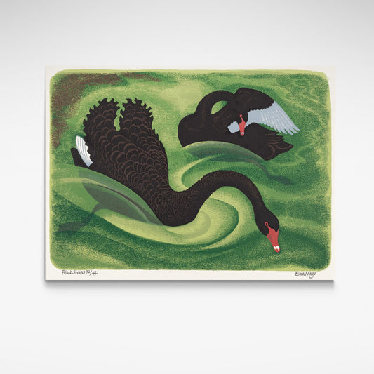 Black Swans, Reproduction Print by Eileen Mayo