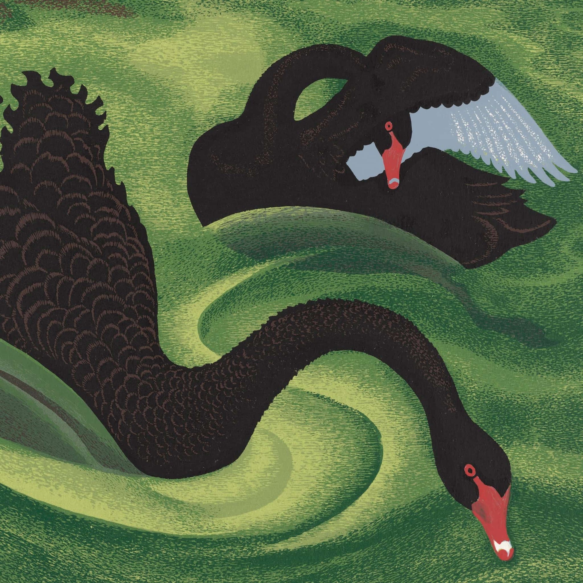 Black Swans, Reproduction Print by Eileen Mayo
