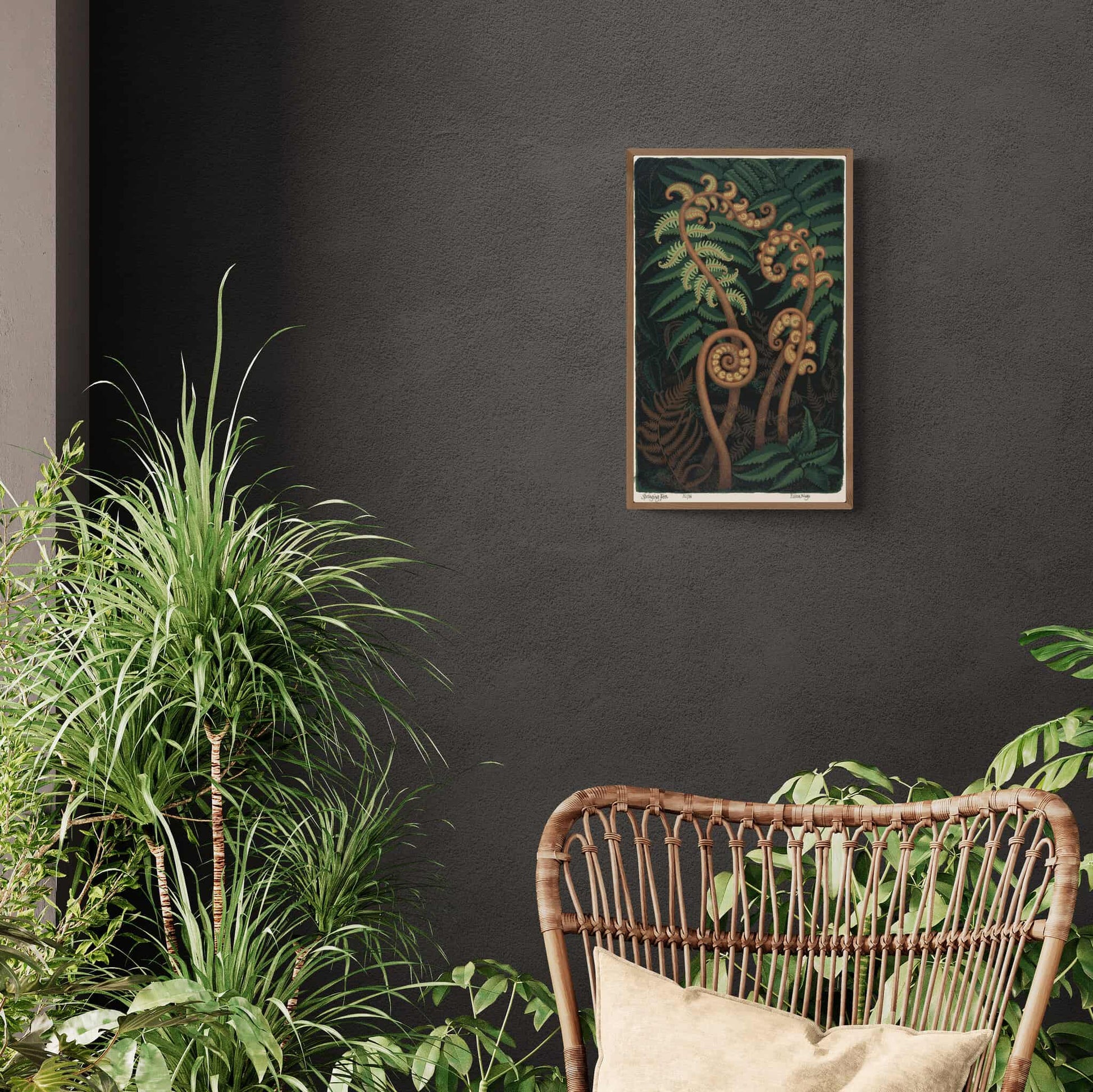Springing Fern, Reproduction Print by Eileen Mayo hanging in plant room