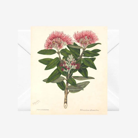 Pohutukawa, Note Card and envelope