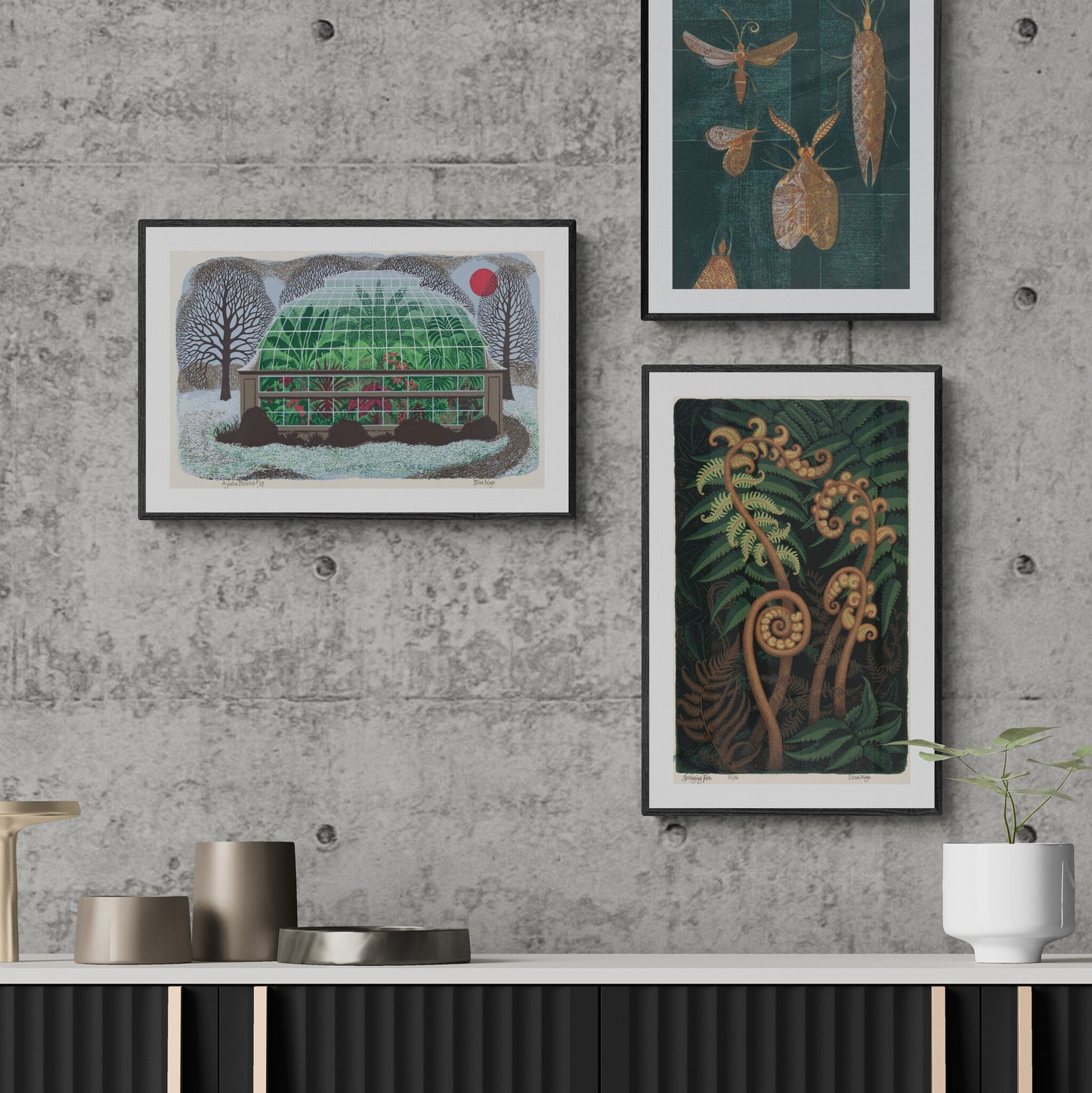 Three framed Eileen Mayo artworks on a concrete wall with a table and plant in the foreground.
