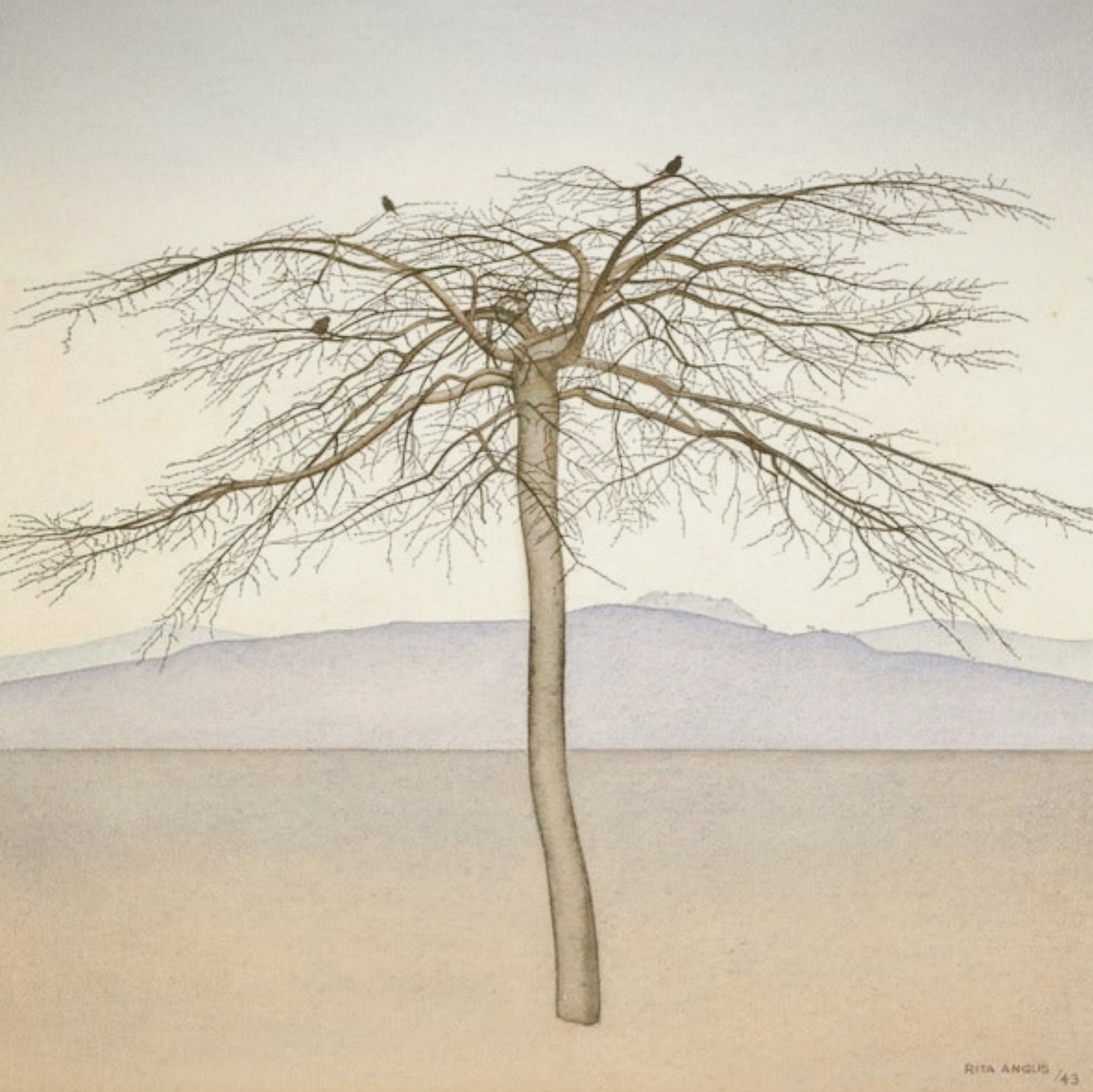 ‘Tree’ by Rita Angus. A stunning, symbolic and iconic reproduction print depicting a solitary tree with stylized branches, set against a serene landscape.