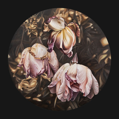 Close-up of pink and white flowers with a dark background