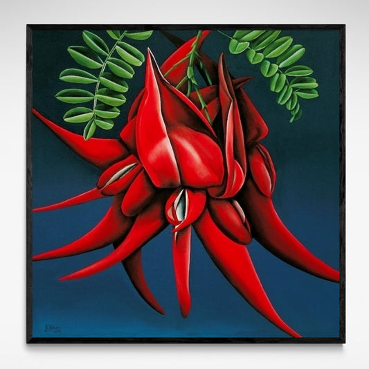 Framed print of a closeup vivid red flower on blue background.