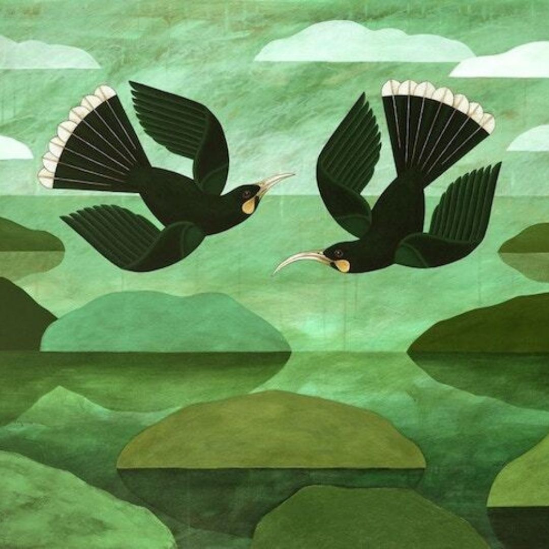 Two Huia flying in a green landscape