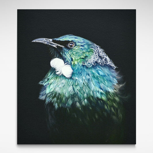 Stretched canvas print of a NZ Tui.