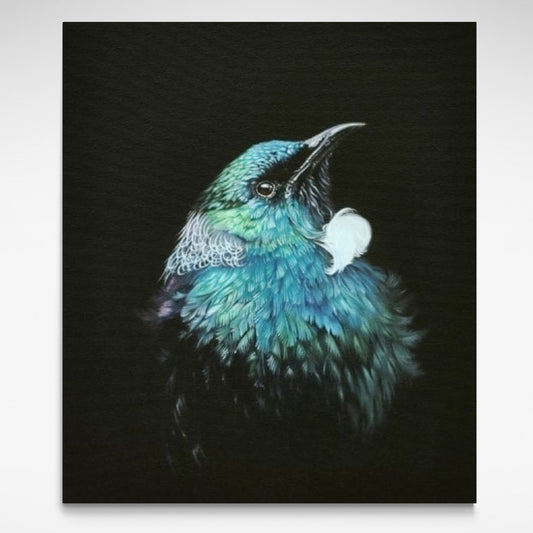 Stretched canvas print of a NZ Tui.