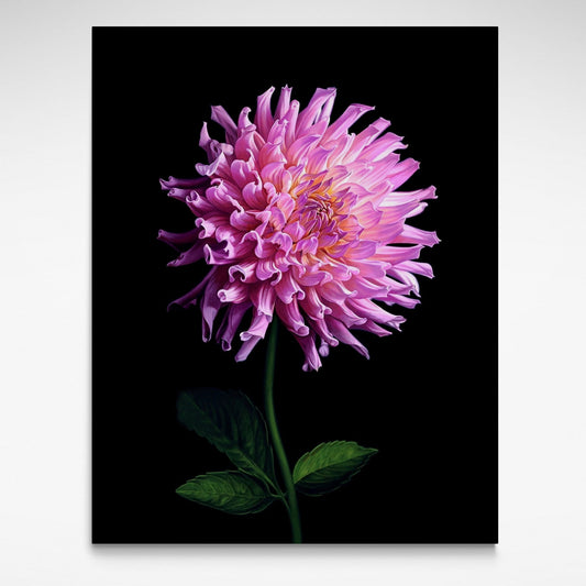Print of bright pink flower on green stem on a black background.