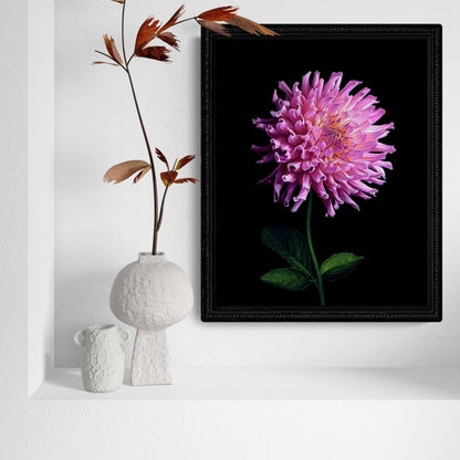Framed print of bright pink flower on green stem on a black background hanging an alcove.