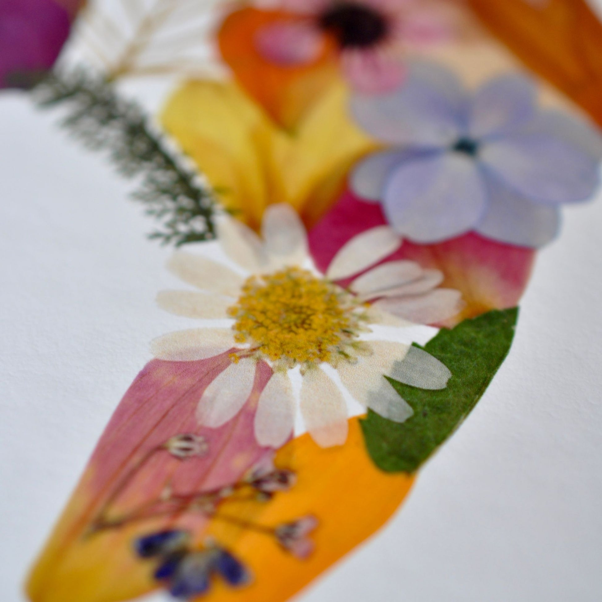 Detail of a colorful print of NZ created from pressed flowers