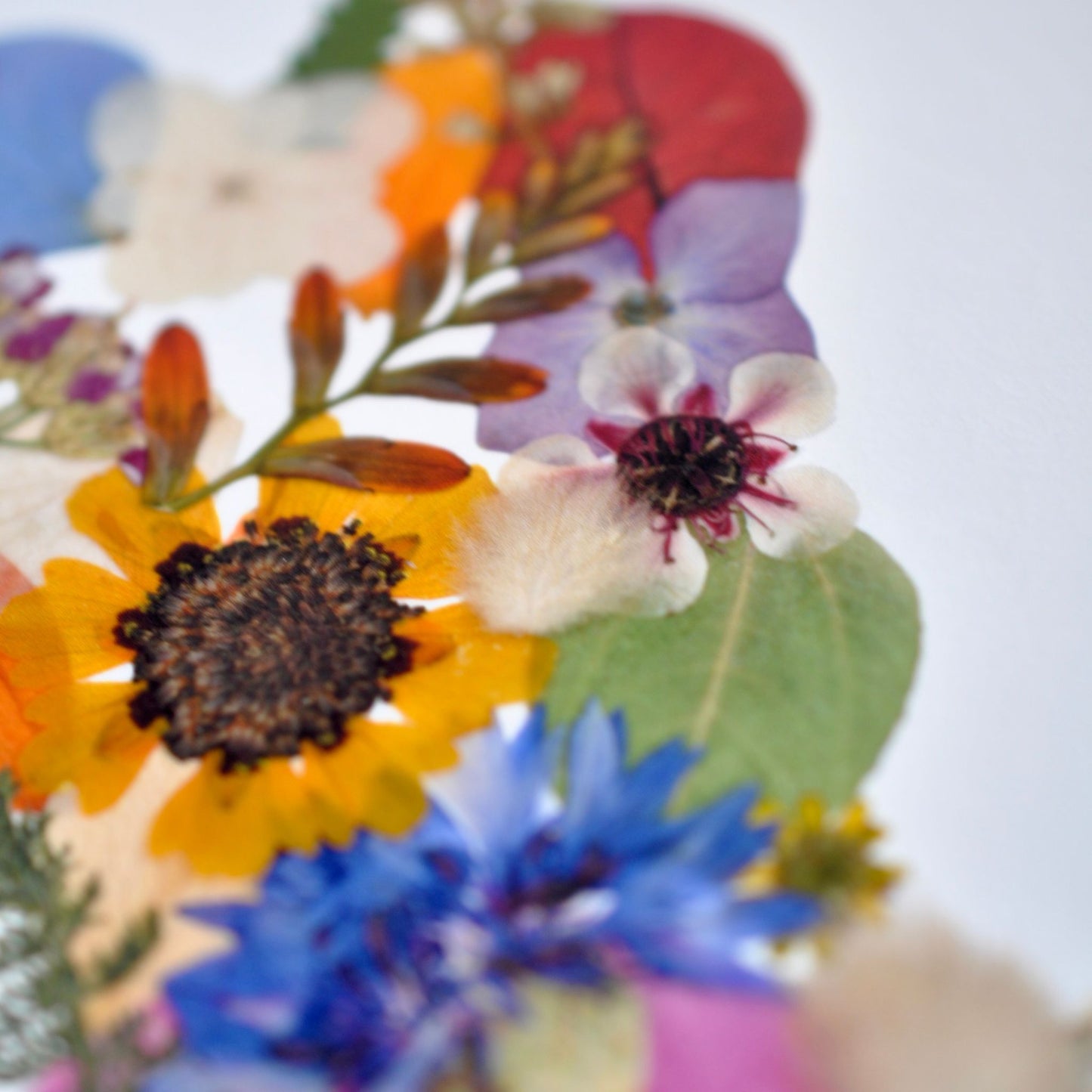 Detail of a colorful print of NZ created from pressed flowers