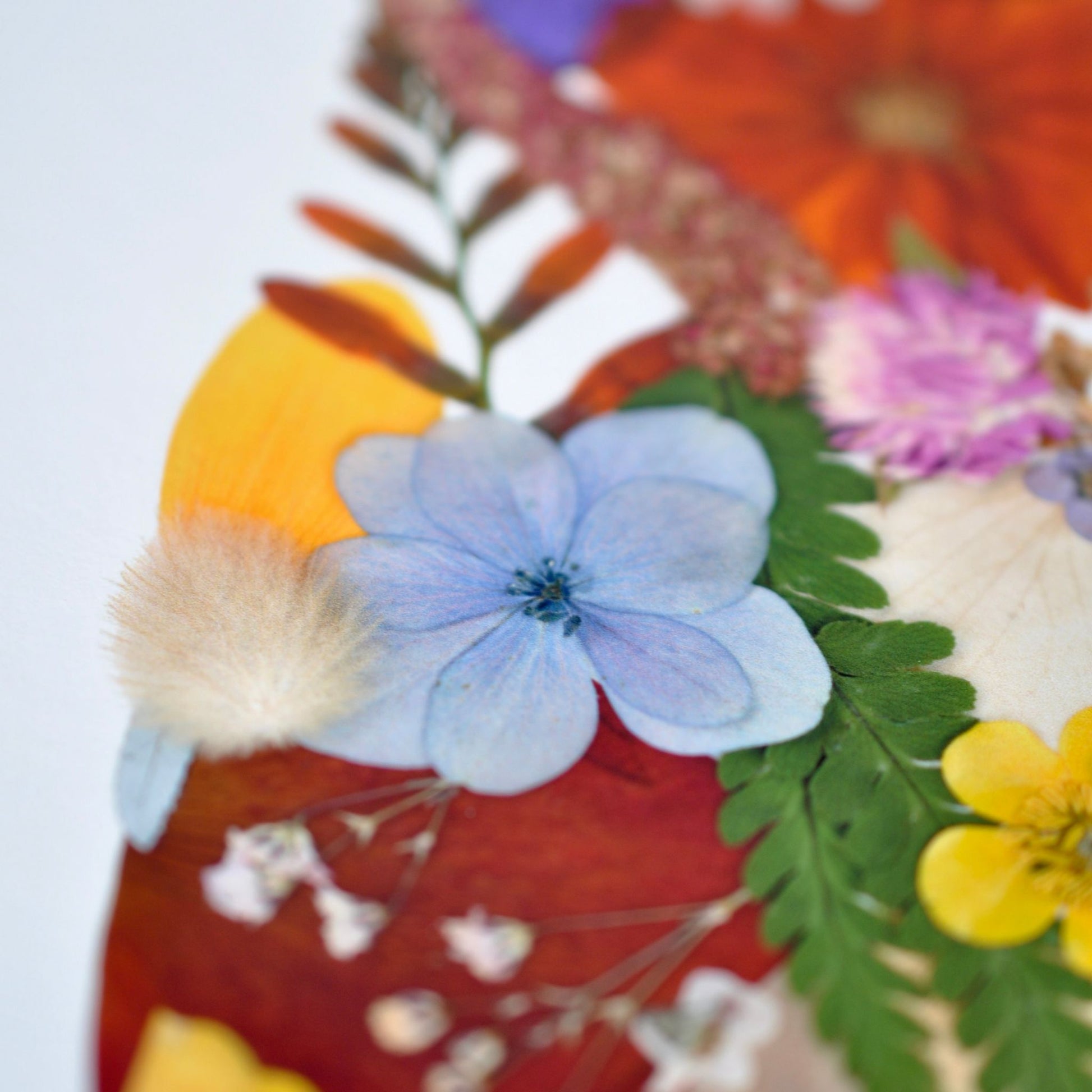 Detail of a colorful print of NZ created from pressed flowers