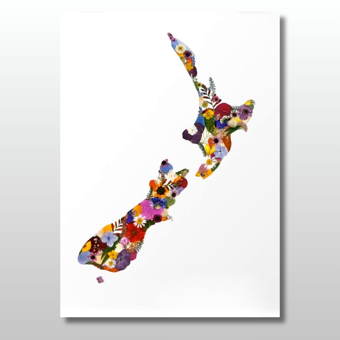 Colourful print of Aotearoa created using pressed flowers on a white background