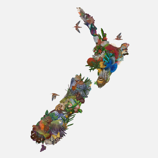 A map of New Zealand covered in bright flora and fauna images