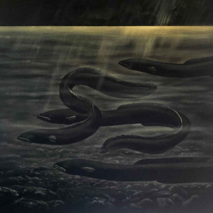 Four Eels by Paula Coulthard, limited edition canvas print featuring four long-fin tuna, swimming underwater in a moody, low-light scene with a glowing horizon, shown against a light gray background.