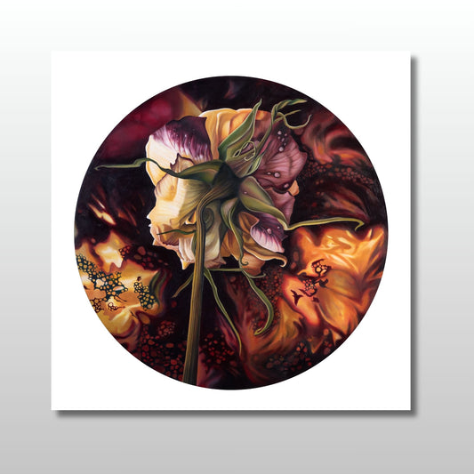 Print of a decaying flower on a scorched orange background