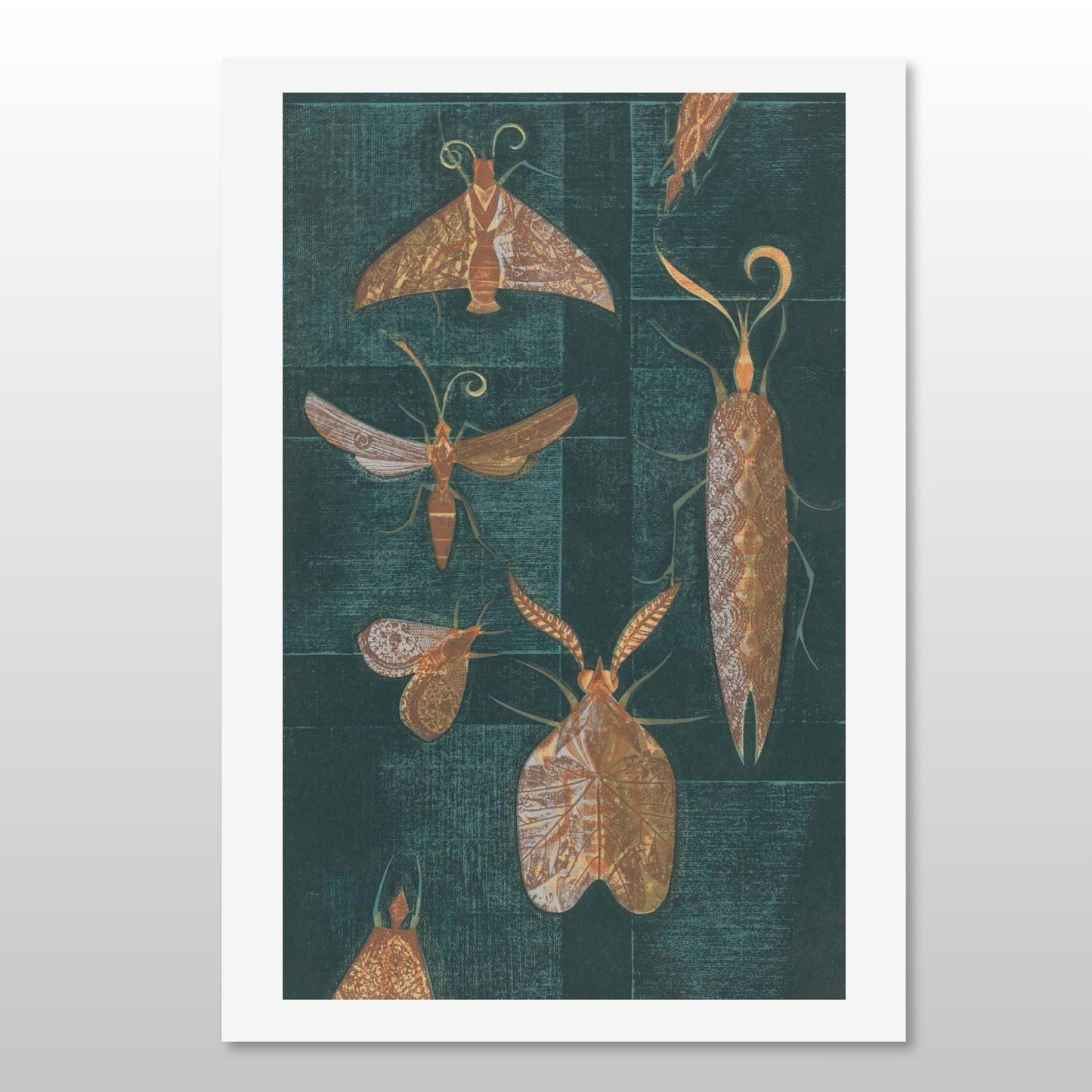 Illustration by Eileen Mayo of various moths on a textured bluegreen background