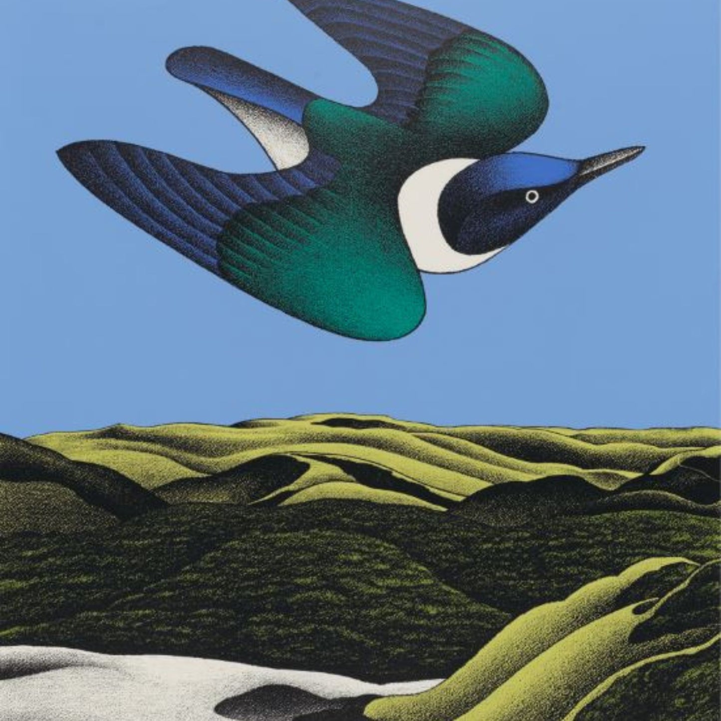 Detail of a reproduction print of Don Binney’s "Swoop of the Kotare, Wainamu" featuring a native bird in bold flight over a stylised New Zealand  landscape.