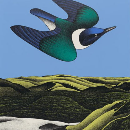 Detail of a reproduction print of Don Binney’s "Swoop of the Kotare, Wainamu" featuring a native bird in bold flight over a stylised New Zealand  landscape.