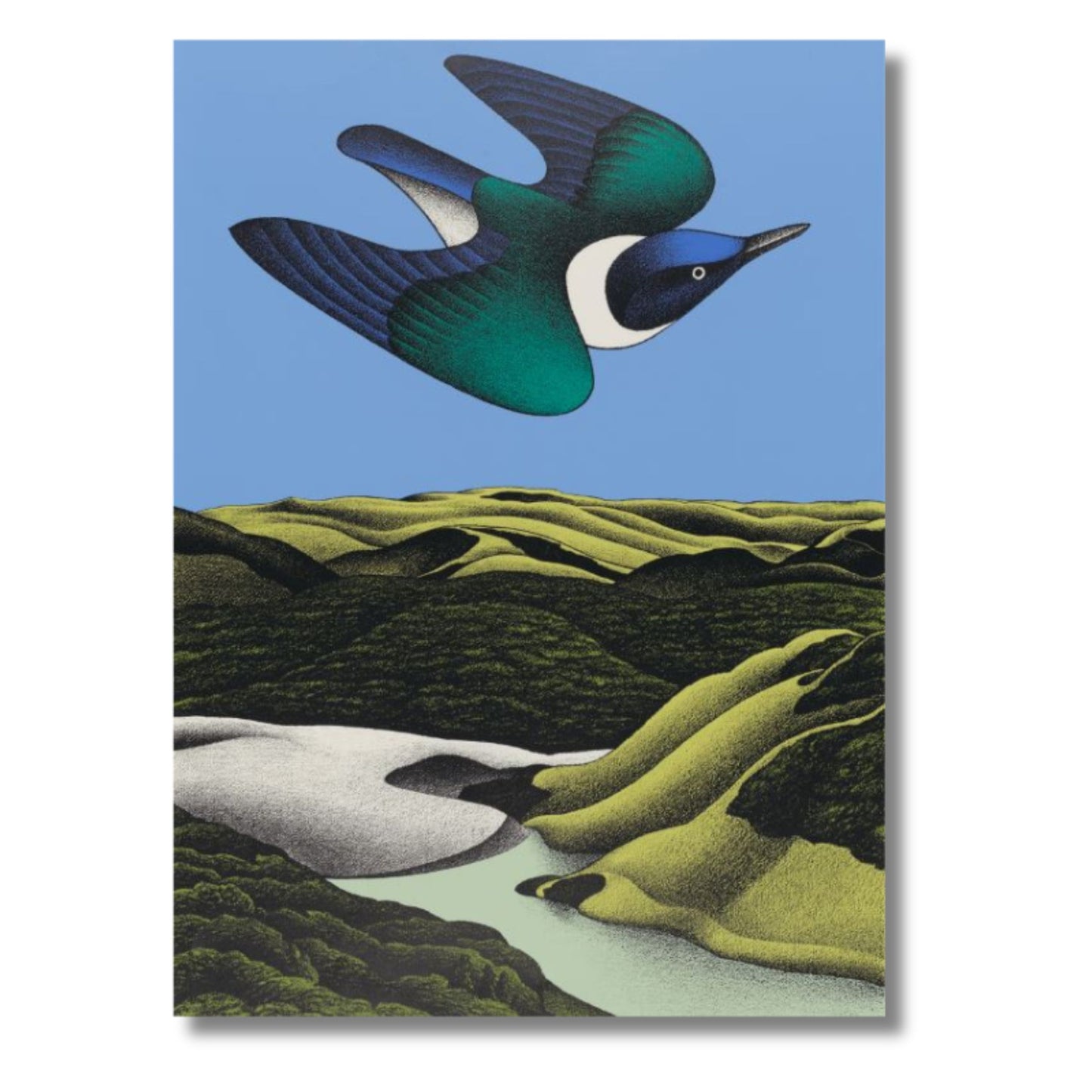 Reproduction print of Don Binney’s "Swoop of the Kotare, Wainamu", featuring a native bird in bold flight over a stylised New Zealand landscape.