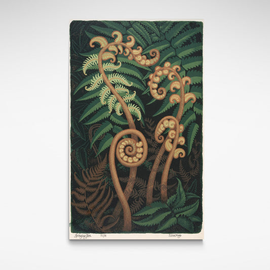 Springing Fern, Reproduction Print by Eileen Mayo