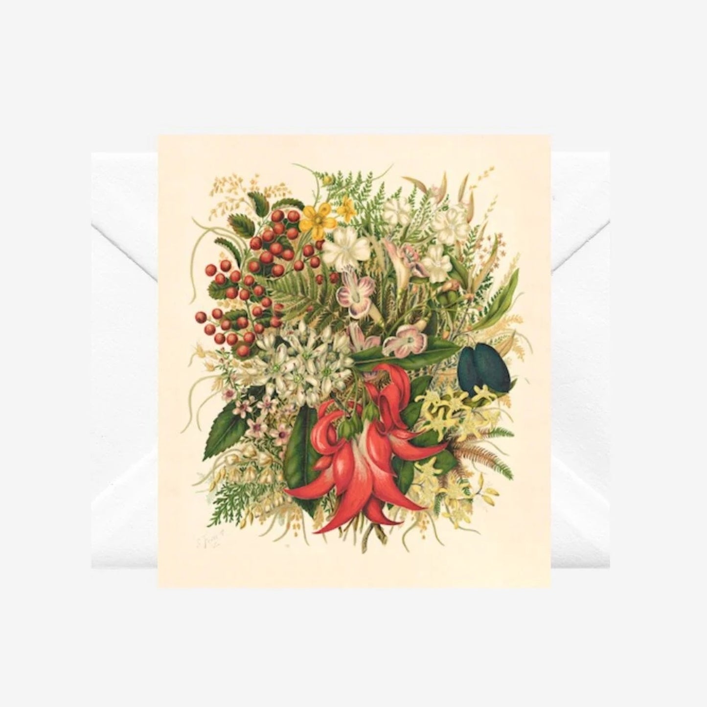 Wild Flowers and Berries, Note Card and Envelope