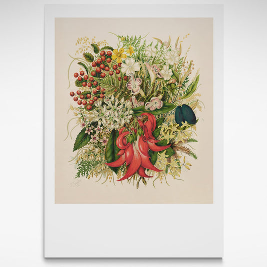 Botanical print of wild flowers and berries