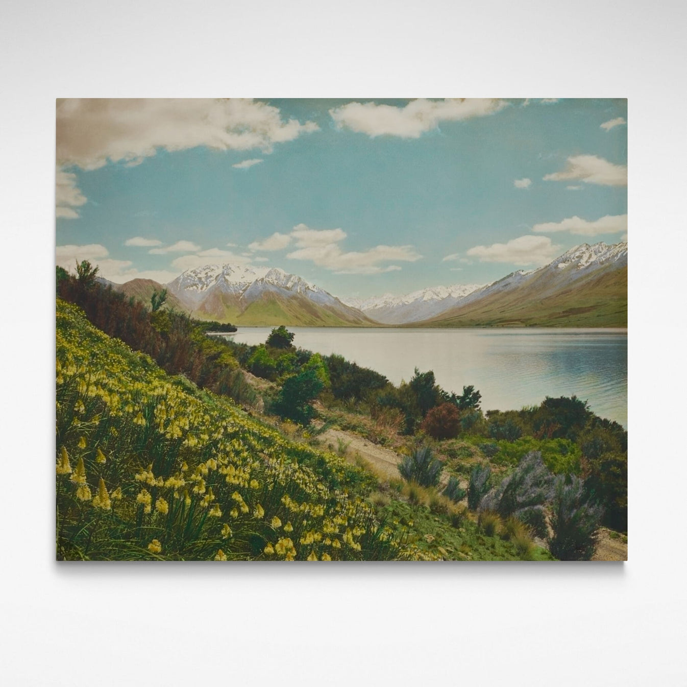 Lake Ohau by Whites Aviation - Print Available - Look NZ