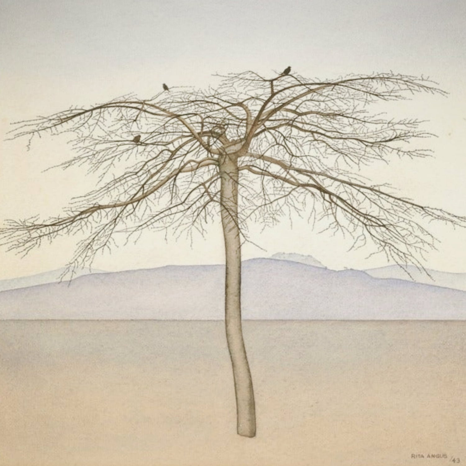 ‘Tree’ by Rita Angus. A stunning, symbolic and iconic reproduction print depicting a solitary tree with stylized branches, set against a serene landscape. 